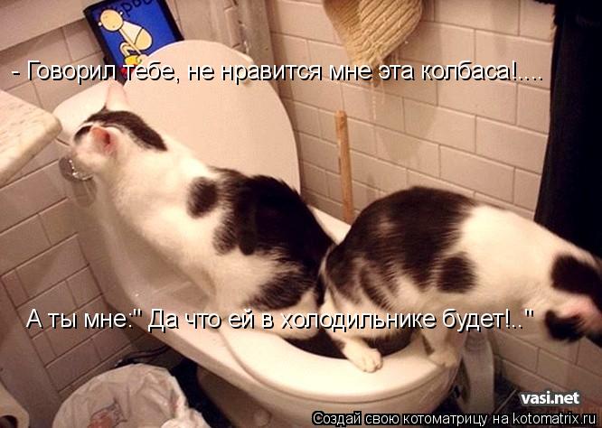 А ты мне:" Да что ей в холодильнике будет!.." - Говорил тебе, не нравится мне эта колбаса!....... Котоматрица: А ты мне:" Да что ей в холодильнике будет!.." - Говорил тебе, не нравится мне эта колбаса!....