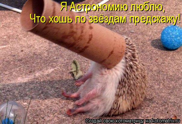 Я Астрономию люблю, Что хошь по звёздам предскажу!... Котоматрица: Я Астрономию люблю, Что хошь по звёздам предскажу!