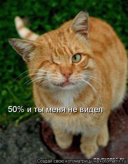 50% и ты меня не видел... Котоматрица: 50% и ты меня не видел