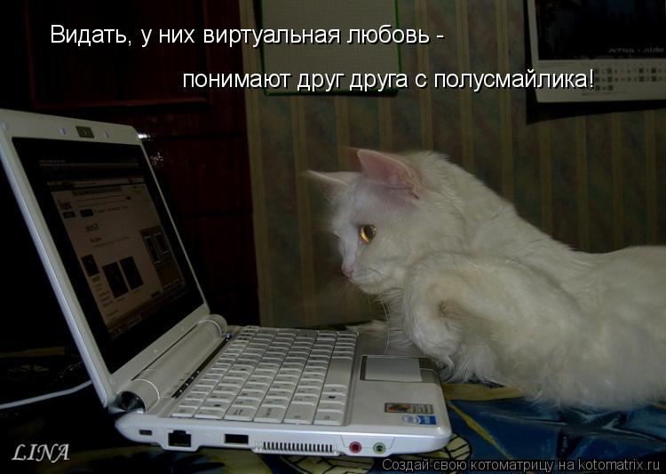 Видать, у них виртуальная любовь - понимают друг друга с полусмайлика!... Котоматрица: Видать, у них виртуальная любовь - понимают друг друга с полусмайлика!
