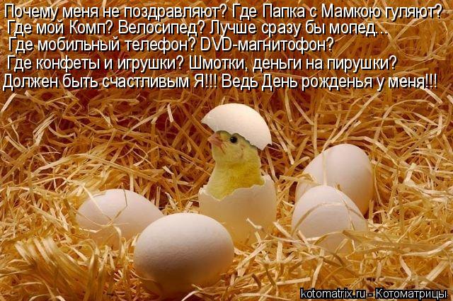 Почему меня не поздравляют? Где Папка с Мамкою гуляют? Где мой Комп? Велосипед? Лучше сразу бы мопед.... Котоматрица: Почему меня не поздравляют? Где Папка с Мамкою гуляют? Где мой Комп? Велосипед? Лучше сразу бы мопед... Где мобильный телефон? DVD-магнитофон? Г