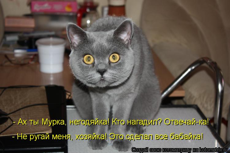 - Ах ты Мурка, негодяйка! Кто нагадил? Отвечай-ка! - Не ругай меня, хозяйка! Это сделал все бабайка!... Котоматрица: - Ах ты Мурка, негодяйка! Кто нагадил? Отвечай-ка! - Не ругай меня, хозяйка! Это сделал все бабайка!