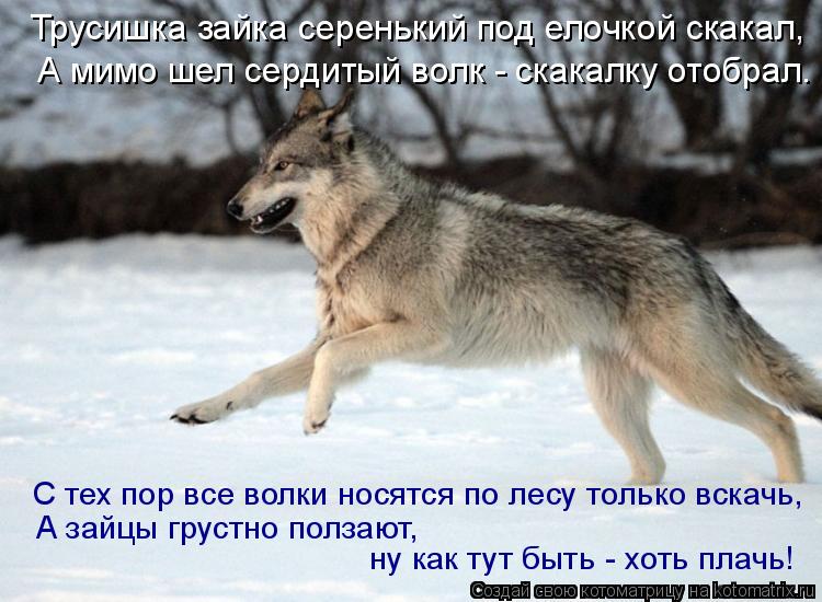 Трусишка зайка серенький под елочкой скакал, А мимо шел сердитый волк - скакалку отобрал. С тех пор... Котоматрица: Трусишка зайка серенький под елочкой скакал, А мимо шел сердитый волк - скакалку отобрал. С тех пор все волки носятся по лесу только вскачь,