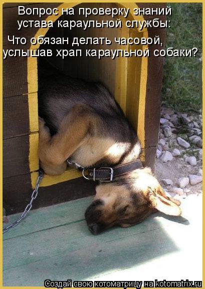 один из любимых сайтов