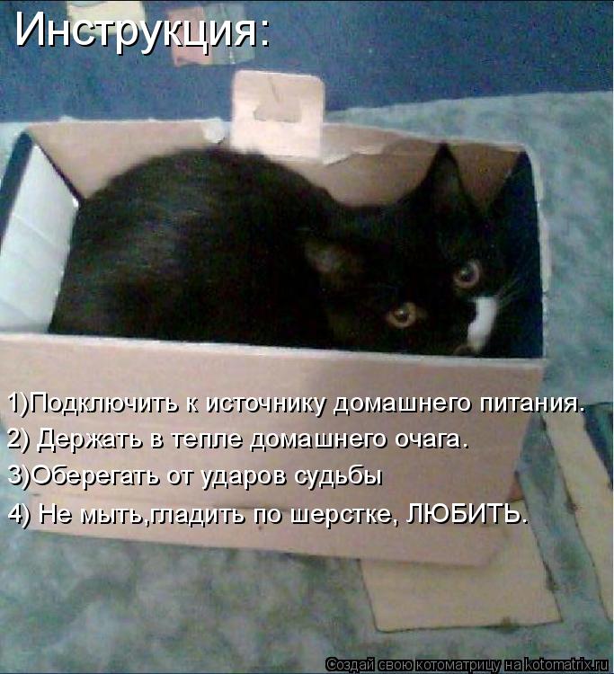 Инструкция: 1)Подключить к источнику домашнего питания. 2) Держать в тепле домашнего очага. 3)Обере... Котоматрица: Инструкция: 1)Подключить к источнику домашнего питания. 2) Держать в тепле домашнего очага. 3)Оберегать от ударов судьбы 4) Не мыть,гладить по