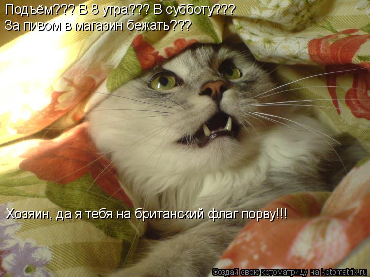 Котоматрица: Подъём??? В 8 утра??? В субботу??? За пивом в магазин бежать??? Хозяин, да я тебя на британский флаг порву!!!
