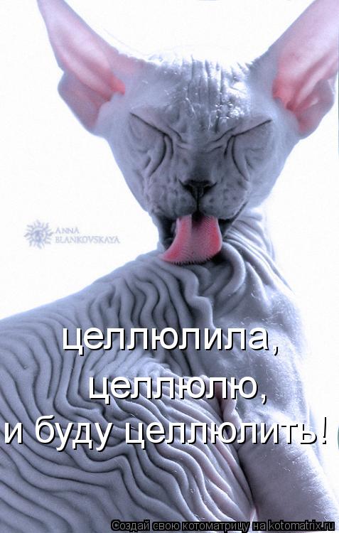 целлюлила, целлюлю, и буду целлюлить!... Котоматрица: целлюлила, целлюлю, и буду целлюлить!