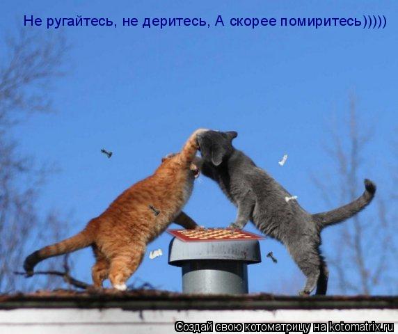 Не ругайтесь, не деритесь, Не ругайтесь, не деритесь, А скорее помиритесь))))) Не ругайтесь, не дерит... Котоматрица: Не ругайтесь, не деритесь, Не ругайтесь, не деритесь, А скорее помиритесь))))) Не ругайтесь, не деритесь, А скорее помиритесь)))))