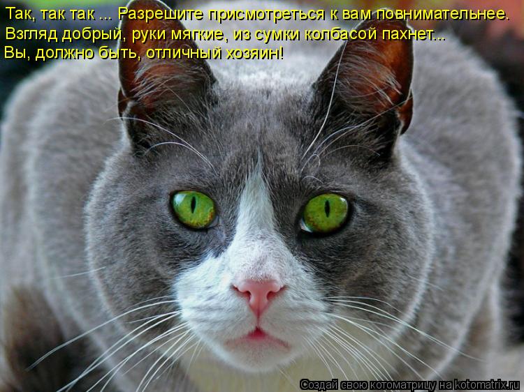 Котоматрица: Так, так так ... Разрешите присмотреться к вам повнимательнее. Взгляд добрый, руки мягкие, из сумки колбасой пахнет... Вы, должно быть, отличны