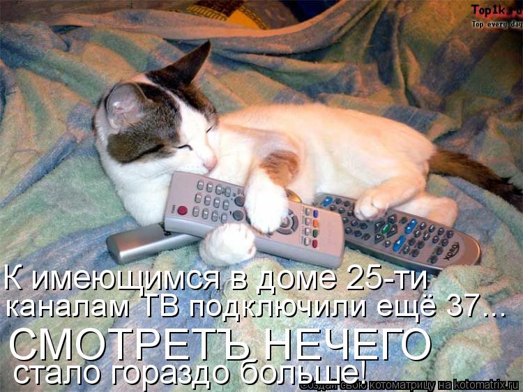 каналам ТВ подключили ещё 37... стало гораздо больше! К имеющимся в доме 25-ти СМОТРЕТЪ НЕЧЕГО... Котоматрица: каналам ТВ подключили ещё 37... стало гораздо больше! К имеющимся в доме 25-ти СМОТРЕТЪ НЕЧЕГО