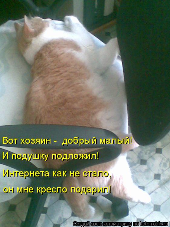 Котоматрица: Вот хозяин -  добрый малый! И подушку подложил! Интернета как не стало, он мне кресло подарил!