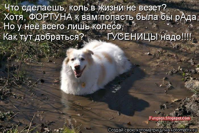 Что сделаешь, коль в жизни не везет? Хотя, ФОРТУНА к вам попасть была бы рАда, Но у неё всего лишь ко... Котоматрица: Что сделаешь, коль в жизни не везет? Хотя, ФОРТУНА к вам попасть была бы рАда, Но у неё всего лишь колесо, Как тут добраться? ГУСЕНИЦЫ надо!!!!
