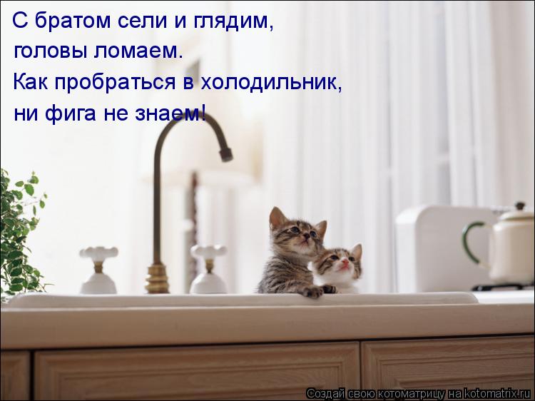 С братом сели и глядим, головы ломаем. Как пробраться в холодильник, ни фига не знаем!... Котоматрица: С братом сели и глядим, головы ломаем. Как пробраться в холодильник, ни фига не знаем!