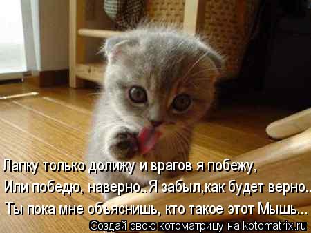 Лапку только долижу и врагов я побежу, Ты пока мне объяснишь, кто такое этот Мышь... Или победю, наве... Котоматрица: Лапку только долижу и врагов я побежу, Ты пока мне объяснишь, кто такое этот Мышь... Или победю, наверно..Я забыл,как будет верно...