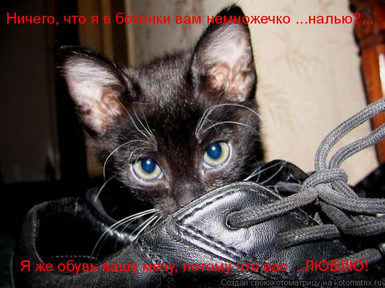 мужские зимние ботинки, цена, харьков