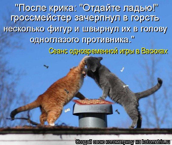 гроссмейстер зачерпнул в горсть несколько фигур и швырнул их в голову одноглазого противника." "После... Котоматрица: гроссмейстер зачерпнул в горсть несколько фигур и швырнул их в голову одноглазого противника." "После крика: "Отдайте ладью!" Сеанс одноврем