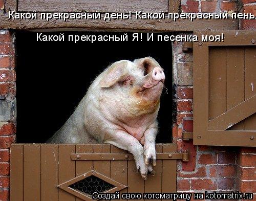 Какой прекрасный день! Какой прекрасный пень! Какой прекрасный Я! И песенка моя!... Котоматрица: Какой прекрасный день! Какой прекрасный пень! Какой прекрасный Я! И песенка моя!