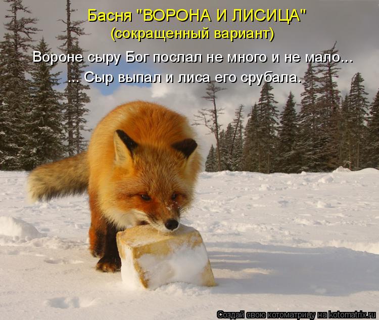 Басня "ВОРОНА И ЛИСИЦА" (сокращенный вариант) Вороне сыру Бог послал не много и не мало... ... Сыр вы... Котоматрица: Басня "ВОРОНА И ЛИСИЦА" (сокращенный вариант) Вороне сыру Бог послал не много и не мало... ... Сыр выпал и лиса его срубала.
