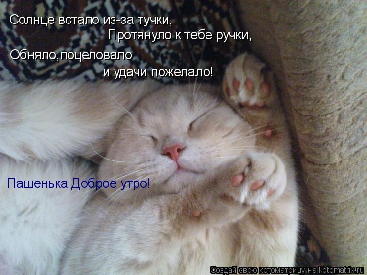 Котоматрица: Солнце встало из-за тучки, Протянуло к тебе ручки, Обняло,поцеловало и удачи пожелало! Пашенька Доброе утро!