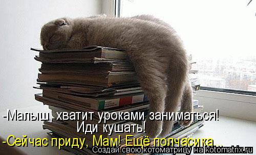 -Малыш, хватит уроками заниматься! Иди кушать! -Сейчас приду, Мам! Ещё полчасика...... Котоматрица: -Малыш, хватит уроками заниматься! Иди кушать! -Сейчас приду, Мам! Ещё полчасика...