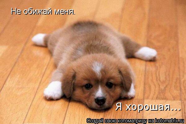 картинка не обижай меня онлайн картинка не обижай меня