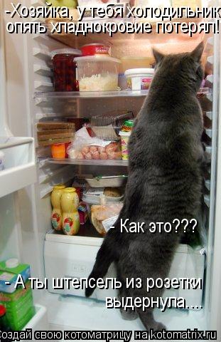 -Хозяйка, у тебя холодильник опять хладнокровие потерял!? - Как это??? - А ты штепсель из розетки вы... Котоматрица: -Хозяйка, у тебя холодильник опять хладнокровие потерял!? - Как это??? - А ты штепсель из розетки выдернула....