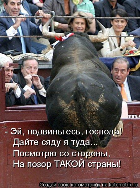 - Эй, подвиньтесь, господа! Дайте сяду я туда... Посмотрю со стороны, На позор, ТАКОЙ страны! На позо... Котоматрица: - Эй, подвиньтесь, господа! Дайте сяду я туда... Посмотрю со стороны, На позор, ТАКОЙ страны! На позор ТАКОЙ страны!