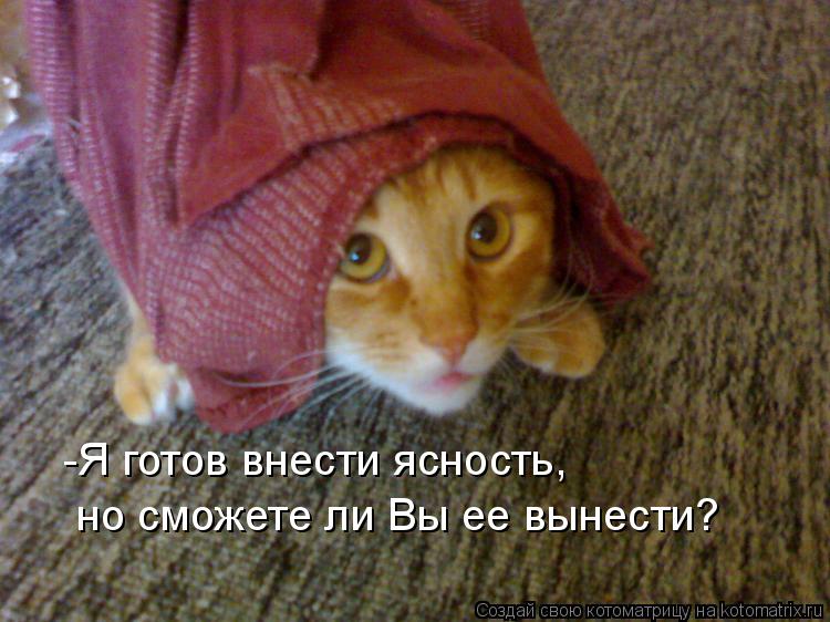 -Я готов внести ясность, но сможете ли Вы ее вынести?... Котоматрица: -Я готов внести ясность, но сможете ли Вы ее вынести?