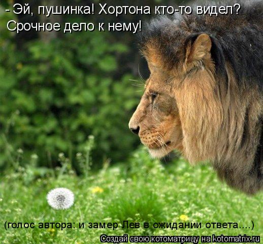 Срочное дело к нему! (голос автора: и замер Лев в ожидании ответа....) - Эй, пушинка! Хортона кто-то ... Котоматрица: Срочное дело к нему! (голос автора: и замер Лев в ожидании ответа....) - Эй, пушинка! Хортона кто-то видел?