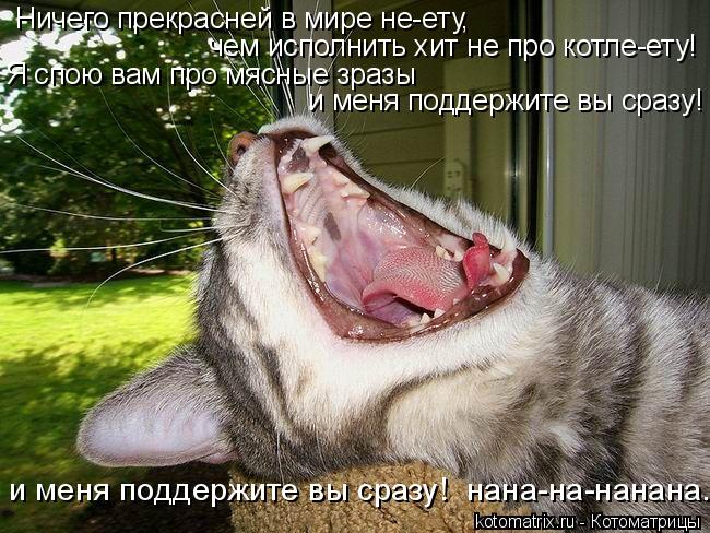 Ничего прекрасней в мире не-ету, чем исполнить хит не про котле-ету! Я спою вам про мясные зразы и м... Котоматрица: Ничего прекрасней в мире не-ету, чем исполнить хит не про котле-ету! Я спою вам про мясные зразы и меня поддержите вы сразу! и меня поддержит
