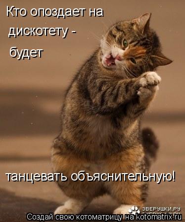 Кто опоздает на дискотету - будет танцевать объяснительную!... Котоматрица: Кто опоздает на дискотету - будет танцевать объяснительную!