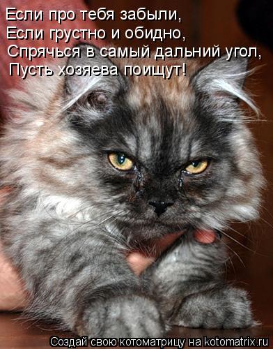 Если про тебя забыли, Если грустно и обидно, Спрячься в самый дальний угол, Пусть хозяева поищут!... Котоматрица: Если про тебя забыли, Если грустно и обидно, Спрячься в самый дальний угол, Пусть хозяева поищут!