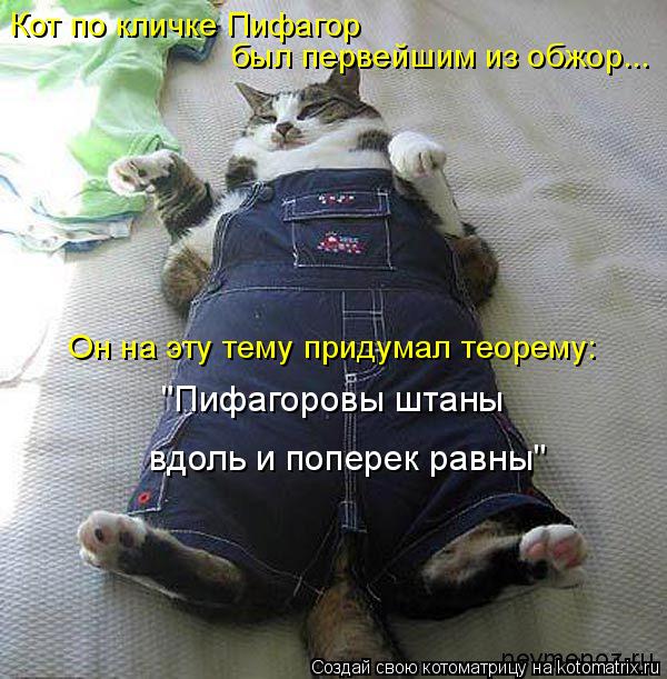 Кот по кличке Пифагор был первейшим из обжор... Он на эту тему придумал теорему: "Пифагоровы штаны вд... Котоматрица: Кот по кличке Пифагор был первейшим из обжор... Он на эту тему придумал теорему: "Пифагоровы штаны вдоль и поперек равны"