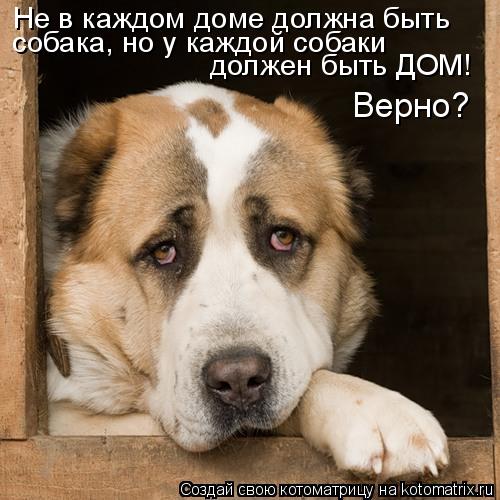 Стих вам не нужна собака Стих вам не нужна собака