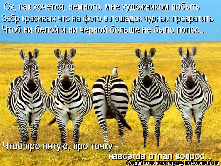 Ох, как хочется, немного, мне художником побыть Зебр красивых,что на фото,в лошадок чудных превратить... Котоматрица: Ох, как хочется, немного, мне художником побыть Зебр красивых,что на фото,в лошадок чудных превратить Чтоб ни белой и ни черной больше не был