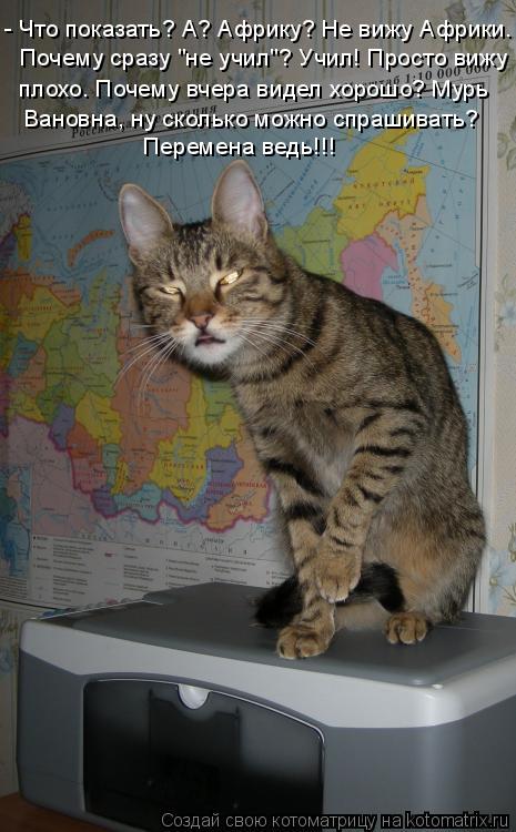 Котоматрица: - Что показать? А? Африку? Не вижу Африки.   Почему сразу "не учил"? Учил! Просто вижу плохо. Почему вчера видел хорошо? Мурь Вановна, ну сколько 