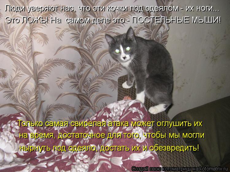 Люди уверяют нас, что эти кочки под одеялом - их ноги... Это ЛОЖЬ! На самом деле это - ПОСТЕЛЬНЫЕ МЫ... Котоматрица: Люди уверяют нас, что эти кочки под одеялом - их ноги... Это ЛОЖЬ! На самом деле это - ПОСТЕЛЬНЫЕ МЫШИ! Только самая свирепая атака может оглуш