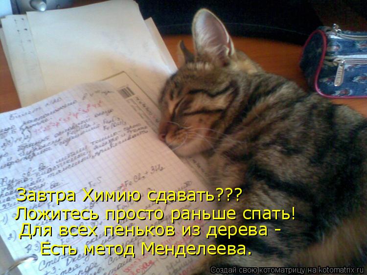 Котоматрица: Завтра Химию сдавать??? Ложитесь просто раньше спать! Есть метод Менделеева. Для всех пеньков из дерева -