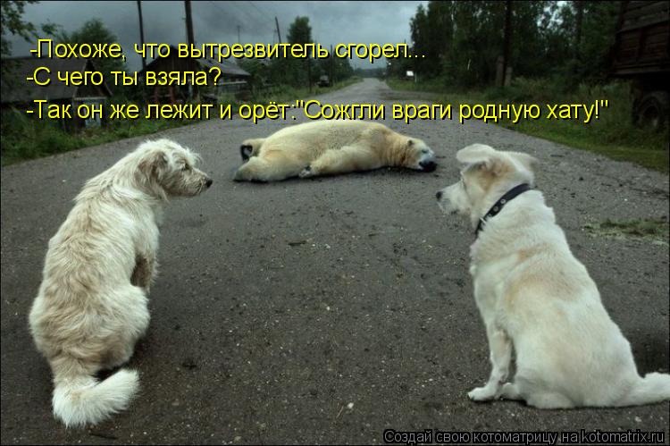 -Похоже, что вытрезвитель сгорел... -Так он же лежит и орёт:"Сожгли враги родную хату!" -С чего ты вз... Котоматрица: -Похоже, что вытрезвитель сгорел... -Так он же лежит и орёт:"Сожгли враги родную хату!" -С чего ты взяла?