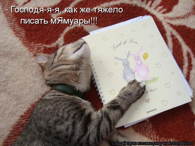 Котоматрица: писать мЯмуары!!! - Господя-я-я, как же тяжело