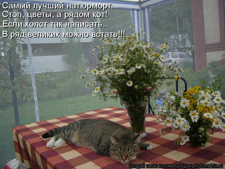 Самый лучший натюрморт... Стол, цветы, а рядом кот! Если холст так написать.. В ряд великих можно вст... Котоматрица: Самый лучший натюрморт... Стол, цветы, а рядом кот! Если холст так написать.. В ряд великих можно встать!!!