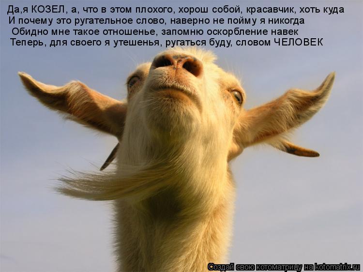 Да,я КОЗЕЛ, а, что в этом плохого, хорош собой, красавчик, хоть куда И почему это ругательное слово, ... Котоматрица: Да,я КОЗЕЛ, а, что в этом плохого, хорош собой, красавчик, хоть куда И почему это ругательное слово, наверно не пойму я никогда Обидно мне тако