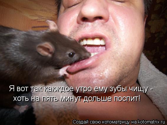 Котоматрица: хоть на пять минут дольше поспит! Я вот так какждое утро ему зубы чищу -