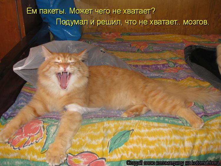 Поел Теперь Можно И Поспать
