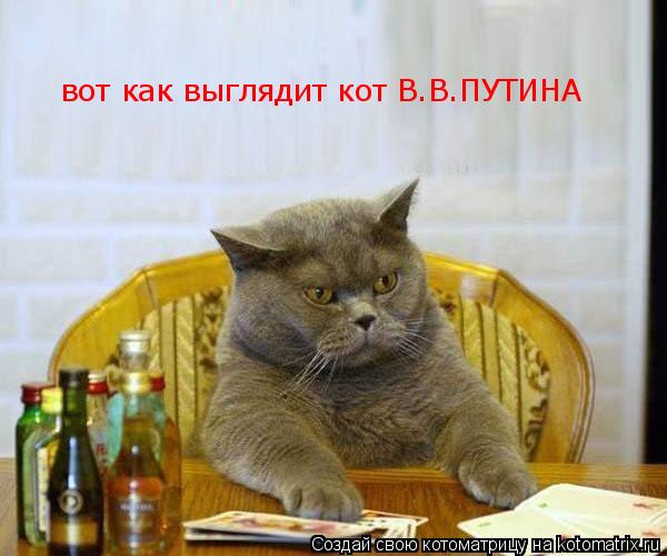вот как выглядит кот В.В.ПУТИНА... Котоматрица: вот как выглядит кот В.В.ПУТИНА