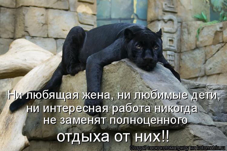 Ни любящая жена, ни любимые дети, ни интересная работа никогда не заменят полноценного отдыха от н... Котоматрица: Ни любящая жена, ни любимые дети, ни интересная работа никогда не заменят полноценного отдыха от них!!