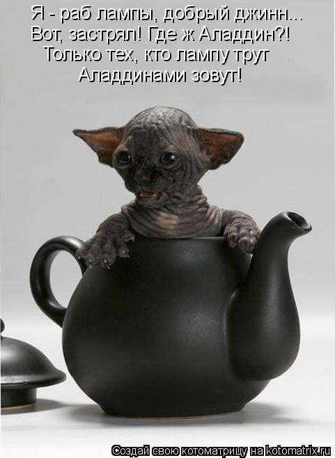 Я - раб лампы, добрый джинн... Только тех, кто лампу трут Аладдинами зовут! Вот, застрял! Где ж Аладд... Котоматрица: Я - раб лампы, добрый джинн... Только тех, кто лампу трут Аладдинами зовут! Вот, застрял! Где ж Аладдин?!