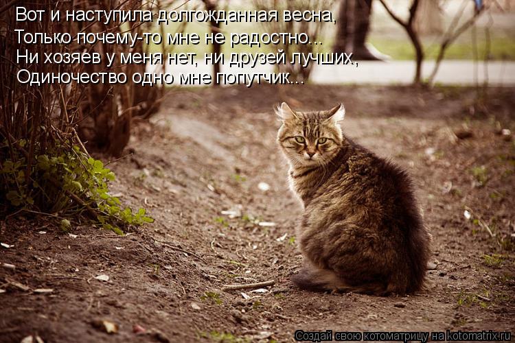 Вот и наступила долгожданная весна, Только почему-то мне не радостно... Ни хозяев у меня нет, ни друз... Котоматрица: Вот и наступила долгожданная весна, Только почему-то мне не радостно... Ни хозяев у меня нет, ни друзей лучших, Одиночество одно мне попутчик.