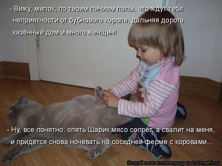 Котоматрица: - Вижу, милок, по твоим линиям лапы, что ждут тебя неприятности от бубнового короля, дальняя дорога, казённый дом и много женщин! - Ну, все поня