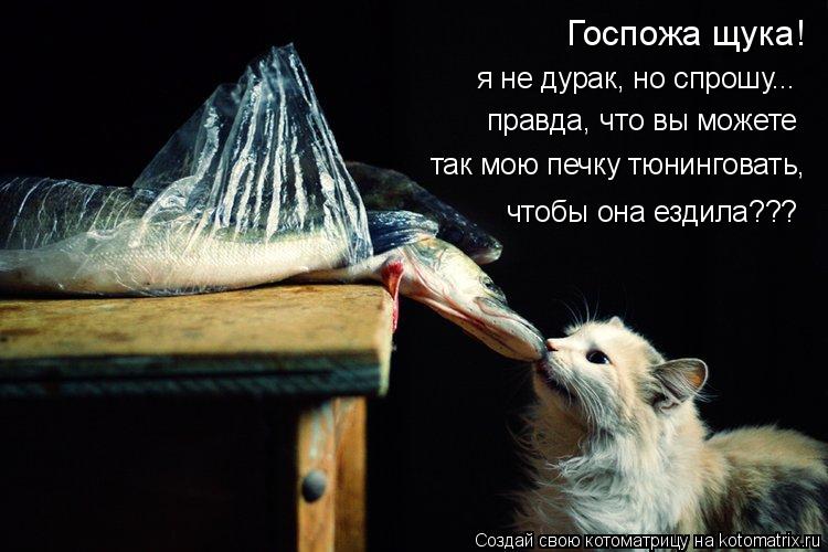 Котоматрица: Госпожа щука! я не дурак, но спрошу... правда, что вы можете так мою печку тюнинговать, чтобы она ездила???